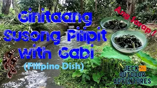 Ginataang Susong Pilipit with Gabi, Filipino Dish! (Catch and Cook)