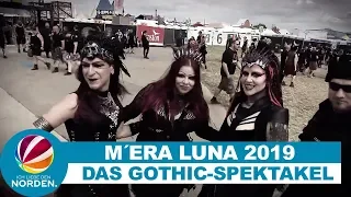 M'era Luna 2019: Gothic-Fans zeigen ihre Outfits