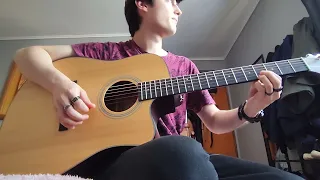 Ode to the mets - The Strokes (cover)