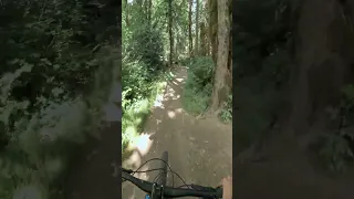 Perfect trail to learn gap jumps on a mountain bike!