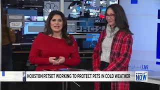 Houston PetSet working to protect pets in cold weather