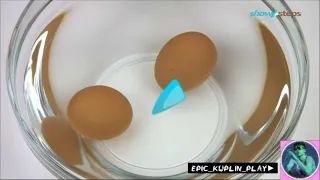 Яйца RYTP collab