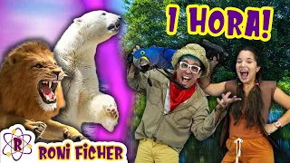 CAÇADORES DE AVENTURAS!!! MARATONA RONI FICHER!!!