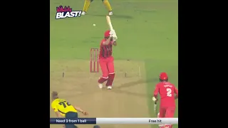 Watch Hampshire Hawks celebration of No ball 😂😂 #t20blast #t20 #champion #hampshire #leicestershire