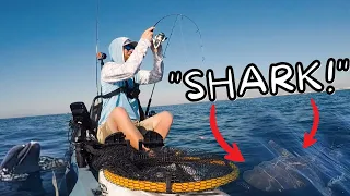 TINY ROD Kayak Fishing and Then CRAZY Things Happened, Trolling Offshore! **SHARK & Dolphins**
