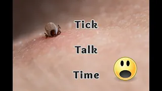 Ticks, Tick-Borne Diseases and the Importance of Tick Testing