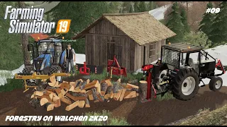 Forestry With @TheCamPeRYT  | Forestry On Walchen 2K20 | Farming Simulator 19 | Episode 09