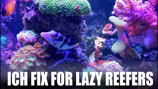 ICH FIX for Lazy Reefers - Yes, it really works
