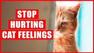 16 Things that EMOTIONALLY Hurt Your Cat