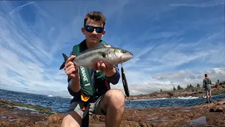 Salmon Eats My Fishing Lure