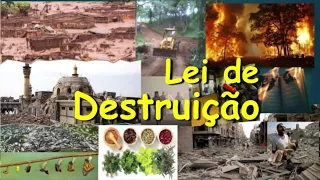 Lei de Destruição - Otávio Pedersoli