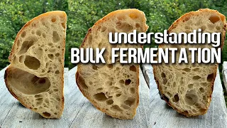 Understanding BULK fermentation. The KEY step for OPEN CRUMB and FLAVOR development. | JoyRideCoffee