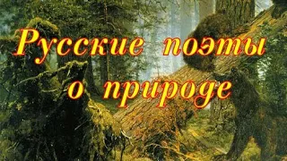 Русские поэты о природе. Пейзажи русского художника Шишкина И.И.