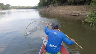 TIDAK DI SANGKA DAPAT LAGI SAMBARAN DAHSYAT IKAN PENGHUNI SUNGAI INI