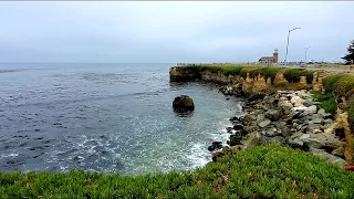 Quick Surf Guide To Santa Cruz, CA