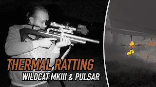 Thermal Hunting is Next Level!  |  Ratting with the Pulsar Thermion 2 XP50 LRF