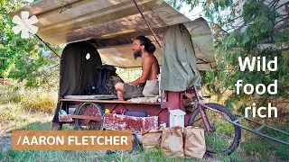 Homeless shepherd shares hunter-gatherer diet & survival tips