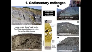 MSL 2021 - Invited Lecture - K. OGATA: Mélanges in flysch-type formations