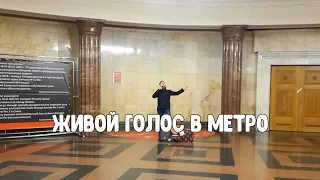 Музыка в метро. Изумительный голос! Николай Рябуха "Эти глаза напротив"