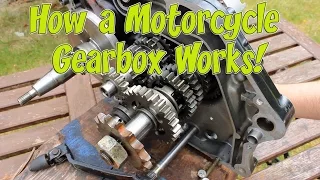 How a Motorcycle Gearbox Works!