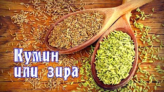 Spices. Cumin or cumin. Application, useful properties of cumin / Cumin (zira) / ENG SUB