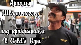 Арнольд Шварценеггер под прикрытием в Gold’s Gym (RUS)