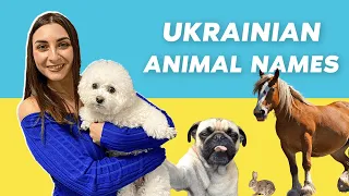 Ukrainian Animal Names