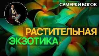 Сумерки богов. РАСТИТЕЛЬНАЯ ЭКЗОТИКА