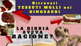 SCIENZA - I tessuti molli che confermano la Creazione Biblica.