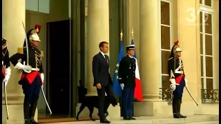 Nemo, le chien du président Macron : une longue tradition à l'Elysée