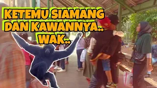 KETEMU SIAMANG DAN KAWAN-KAWANNYA.. WAK..