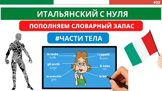 ЧАСТИ ТЕЛА на итальянском - ЛЕКСИКА - Итальянский язык с нуля