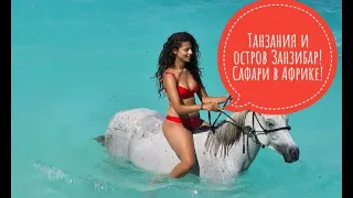 Туры на остров Занзибар (Танзания). Сафари в Африке