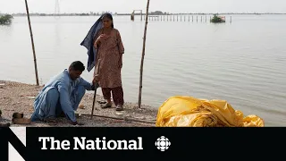 Pakistan floods create desperate need for aid
