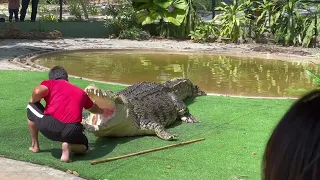 Watch loyal crocodile @ Crocodile Adventureland Langkawi #malaysia  #langkawi