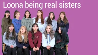 Loona when they know each other too much