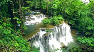 Zen Meditation Music ❤︎ Water Sounds. Chakra Healing. Reiki Music. Calm Music