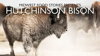 Grassfed Organic Nebraska Bison