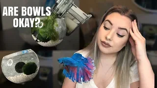 HOW TO SET UP A BETTA BOWL! | are bowls okay for bettas?