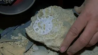 Grinding calcit ammonite with an angle grinder