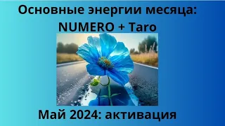 Активация основных энергий мая 2024 года. Сделай свой месяц успешным🍀