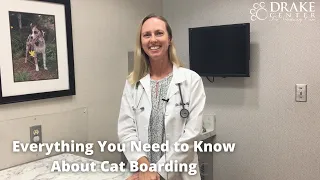 Everything You Need to Know About Cat Boarding