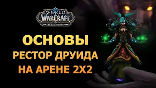 Рестор Друид основы на арене 2х2 / World of Warcraft BFA / Часть I / Дилайт