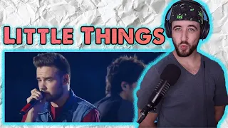 One Direction - Reaction - Little Things