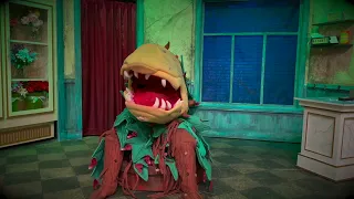 Audrey II   Final Week