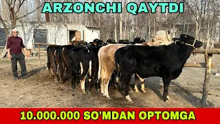 QIRG’IZISTON BUQALARI VA JAYDARI NOVVOSLAR SOTUVDA