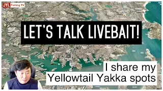 Where and how to catch Yellowtail Yakka and Squid LIVE BAIT? Hot Spots REVEALED!