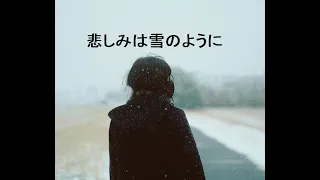 sadness is like snow / SHOGO HAMADA