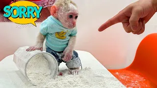 Baby Monkey Jic Jic was punished by his father for mischievously causing a mess at home.