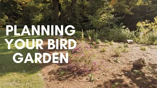 Episode 4 | Planning Your Bird Garden